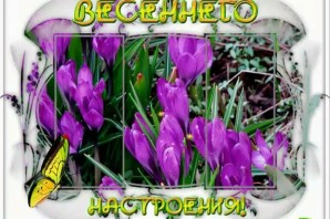 Хорошего весеннего настроения