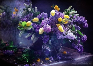 Красивого весеннего вечера