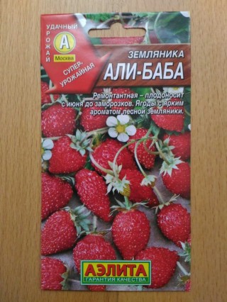 Земляника ремонтантная али баба
