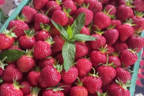 Земляника альба