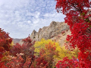 Багряная осень