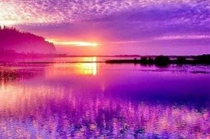 Фиолетовый рассвет