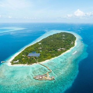 Мальдивы тодду