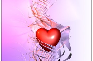 Прекрасное сердце