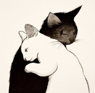 Влюбленные кошки