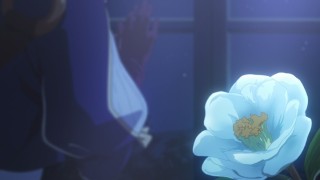 Аниме цветы