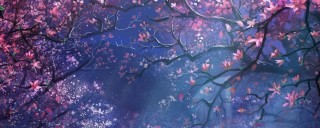 Фиолетовая сакура