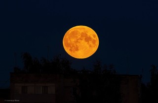 Оранжевая луна