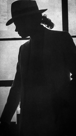 Вайт джексон