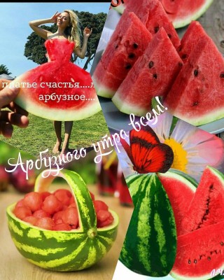 Родина арбуза