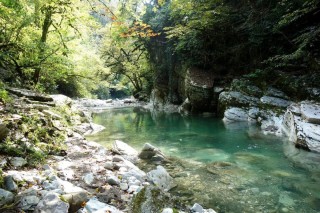 Белые скалы хоста