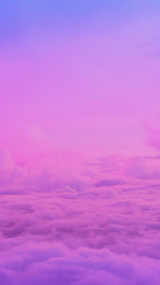 Фиолетовый цвет