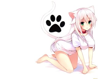 Милые неко