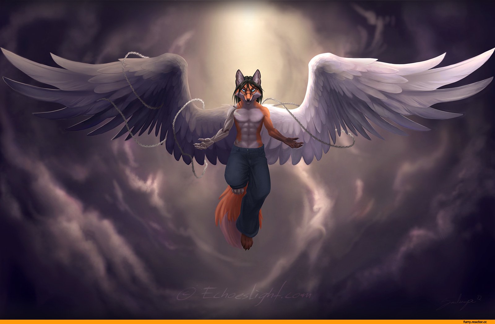Крылатый ангел. Фурри с крыльями. Волк с крыльями. Фурри ангел. Крылатый волк.