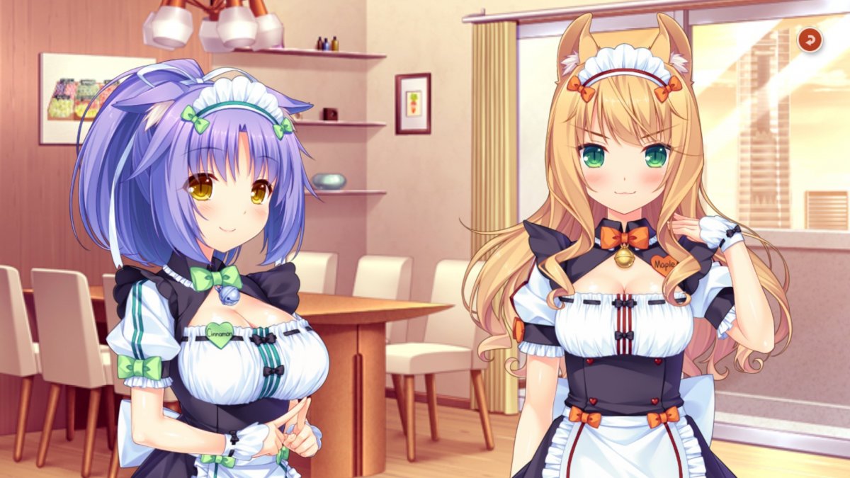 Nekopara фон профиля Steam