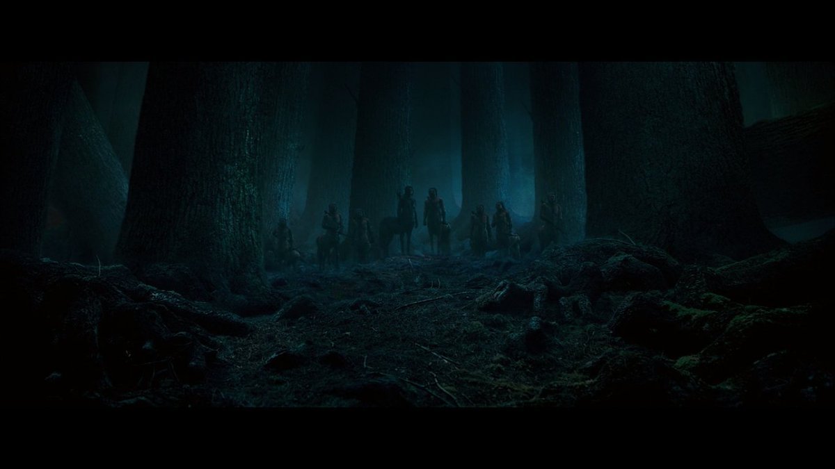 Запретный лес Гарри Поттер