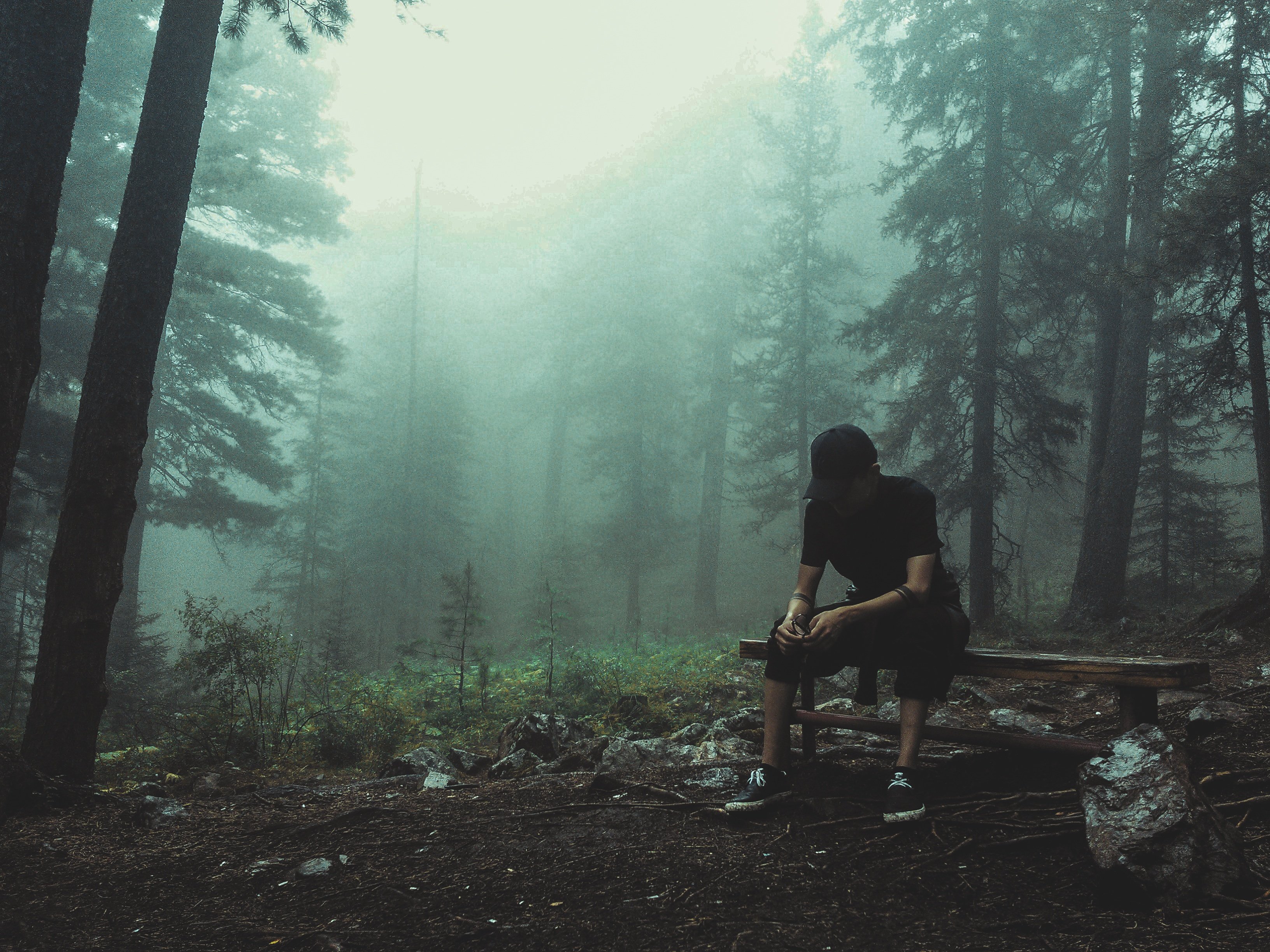 Бредешь в лесу. Мужчина в лесу. Парень в лесу. Один в лесу. Человек в туманном лесу.