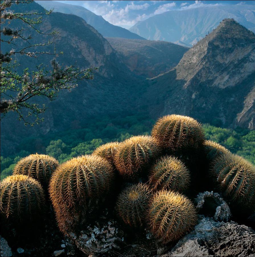 Природные объекты мексики. Мексика природа. Мексика Дикая природа. Красивые пейзажи Мексики. Тропическая Мексика природа.