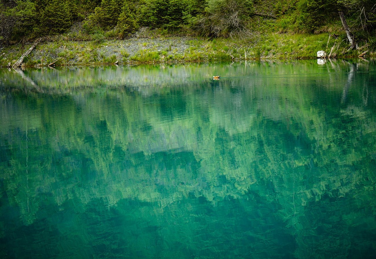 Вода на голубых озерах. Затонувший лес в озере Каинды. Подводный лес в озере Каинды. Лес озера Каинды, Казахстан. Голубые озёра Александровск.