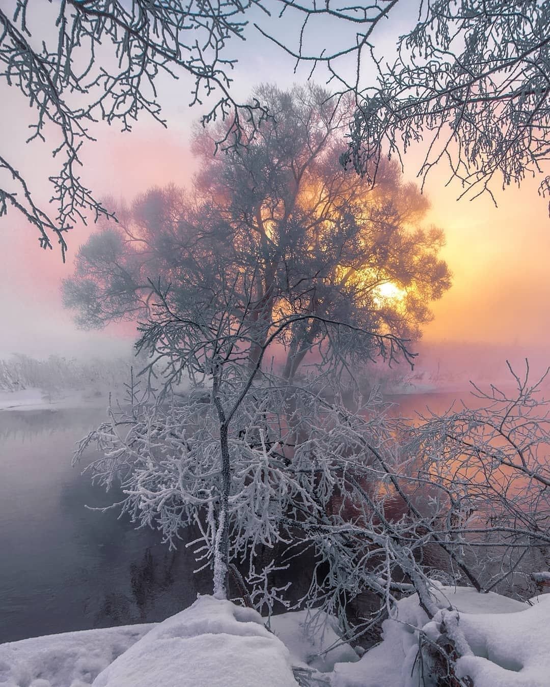 Утро природа февраль. Морозный пейзаж. Зимнее утро. Холодный пейзаж. Морозное утро.