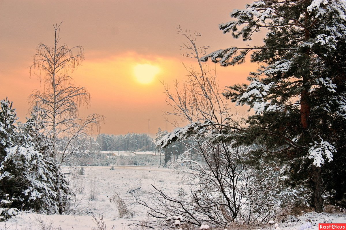 Зимний день зимняя куртка зимнее утро. Зимнее утро. Утро зима. Снежное утро. Зимний утренний пейзаж.