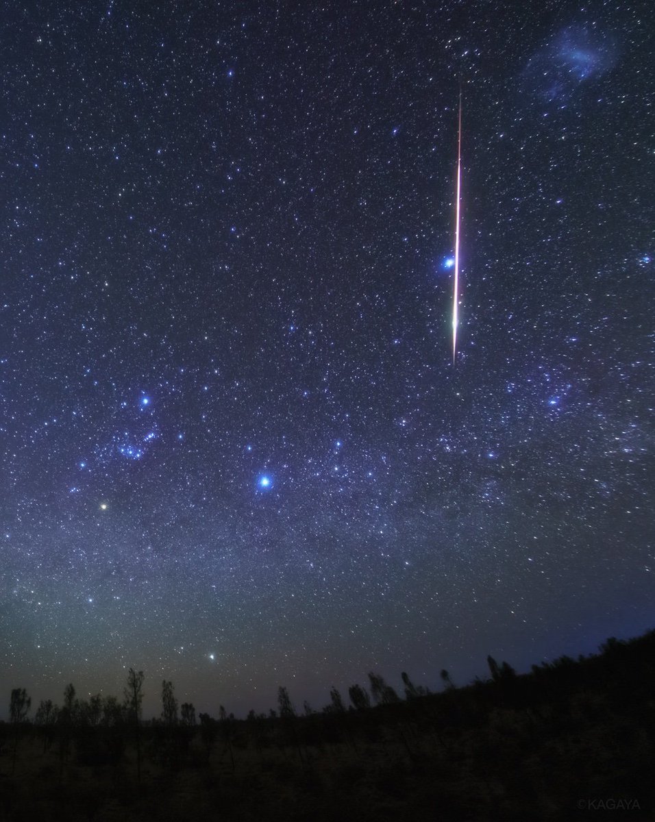 Самые яркие звезды сейчас. Сириус ярчайшая звезда ночного неба. Метеоритный дождь Лириды 2020. Канопус звезда. Сириус Астрофото.