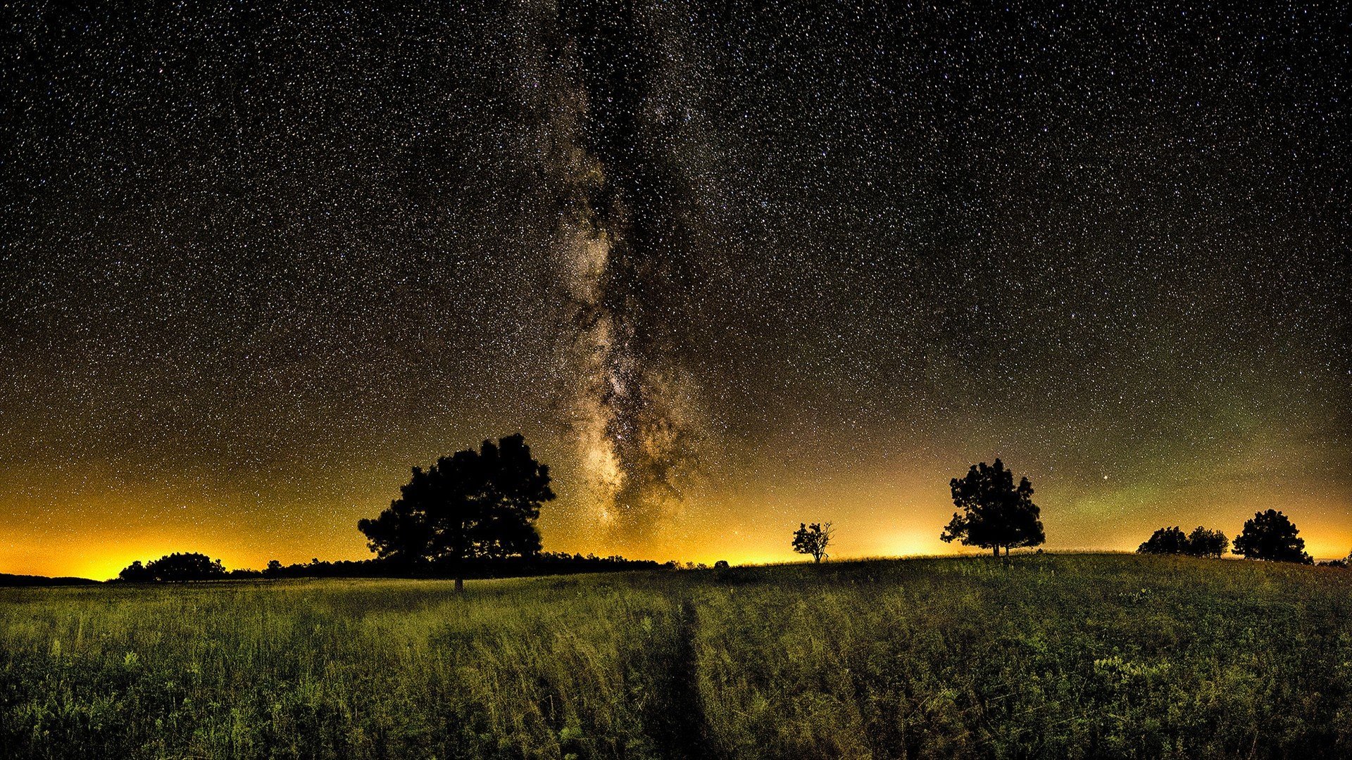 Звездное небо в поле. Ночное небо. Природа космос. Ночное поле. Млечный путь.