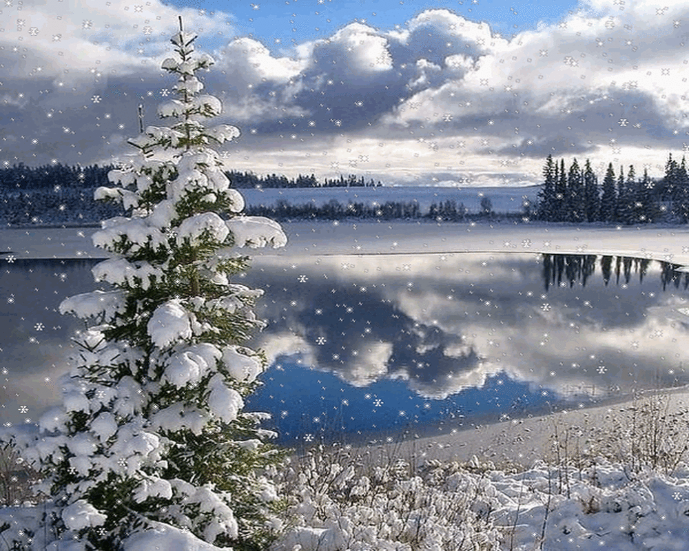 Доброе утро зима природа - фото и картинки: 62 штук