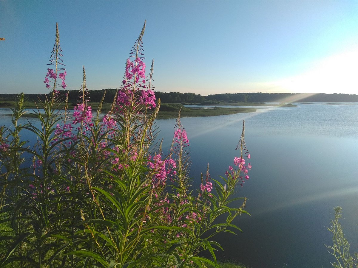 Вода пермский край. Кондас Пермский край. Река Кондас. Пермский край Весна. Красота Пермского края природа и цветы.