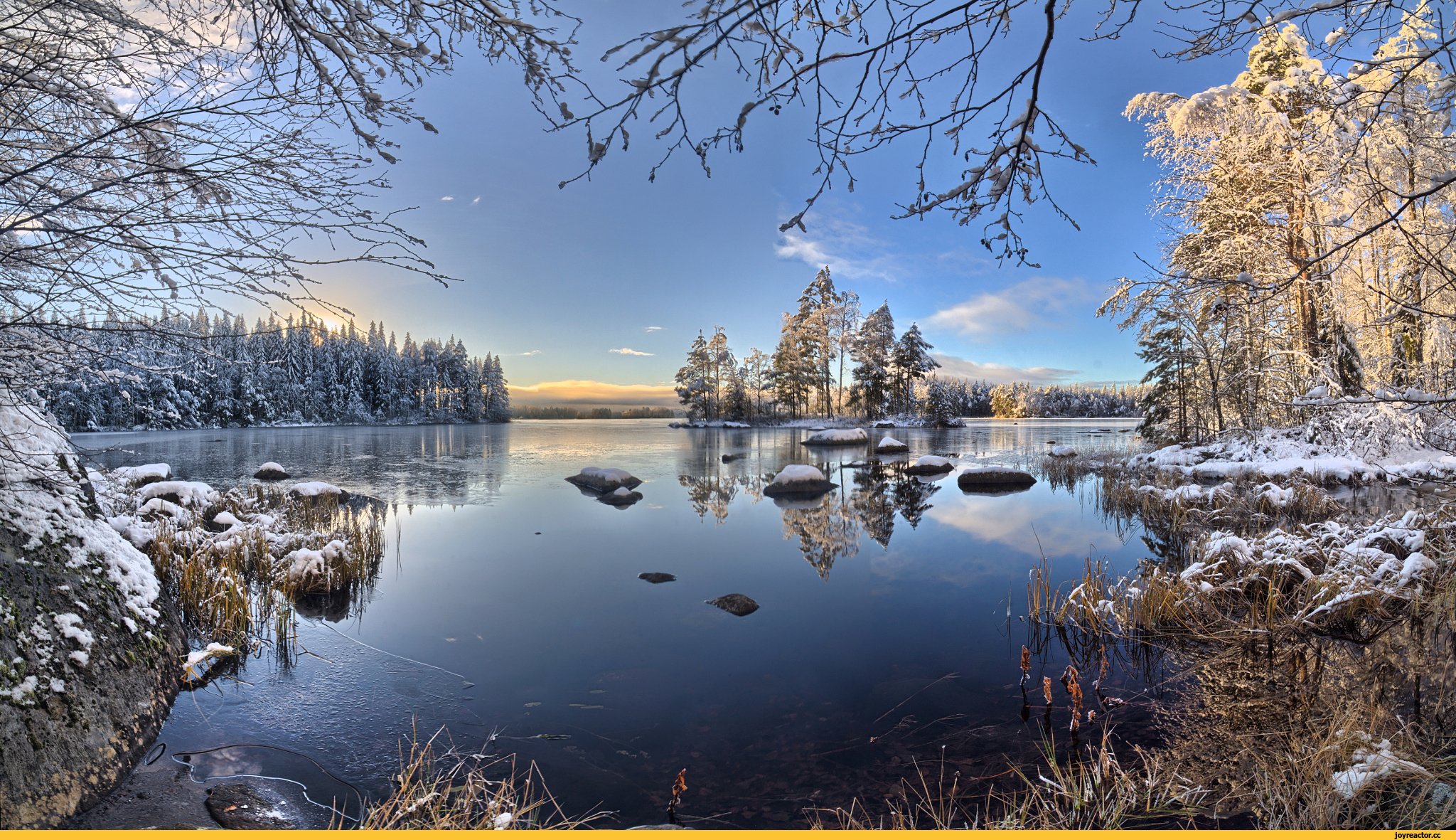 Берег озера зимой. Озеро Сайма Финляндия. Озеро Сайма Финляндия зимой. Ранняя зима. Зимнее озеро в лесу.