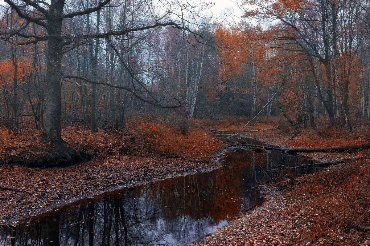 Глубокая осень