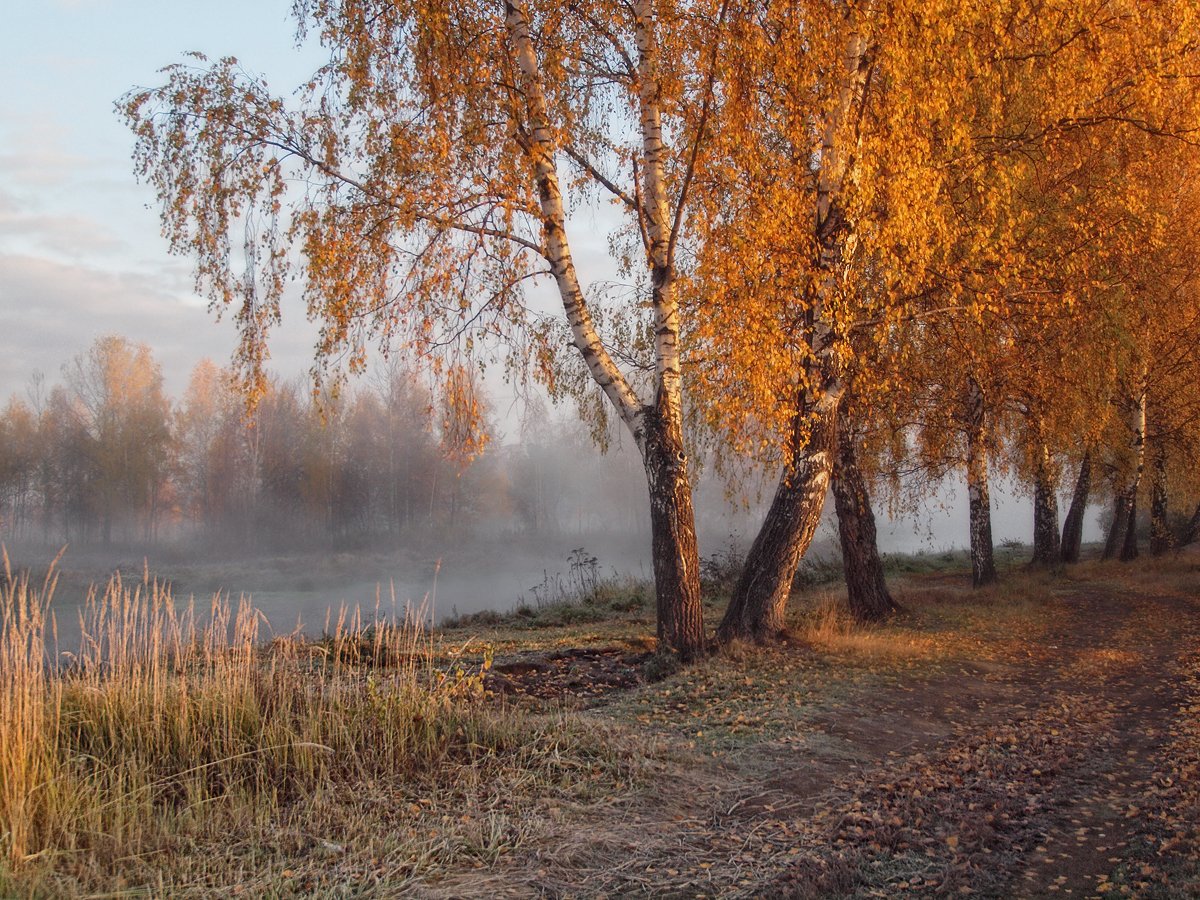 Россия поздняя осень