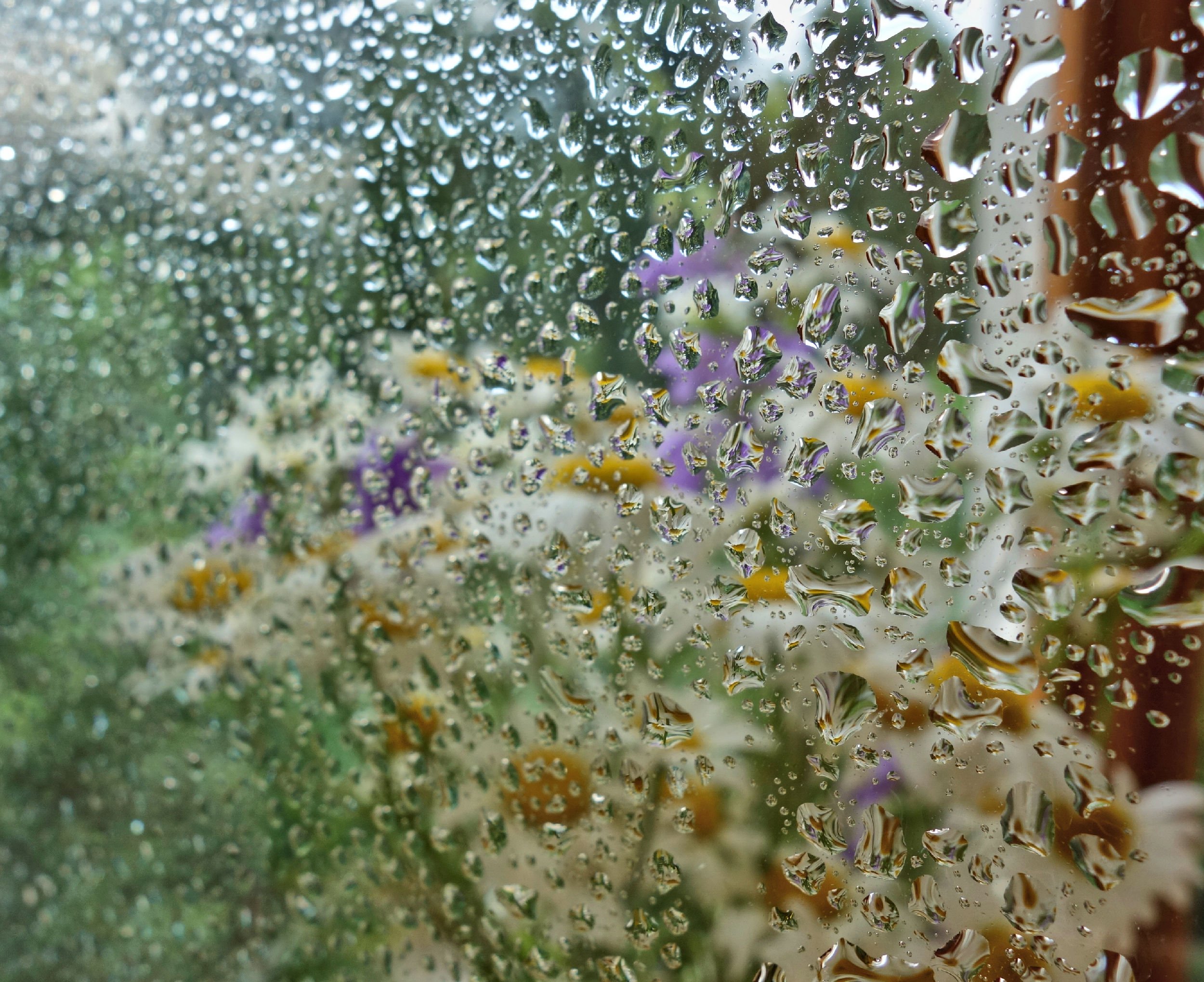 Немножко дождик. Летний дождь. Летний ливень. Лето дождь. Дождь за окном.