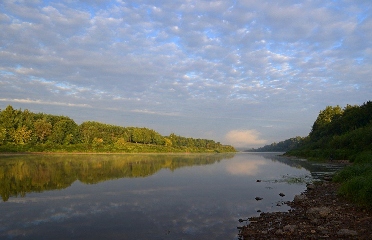 Река западная двина. Река Даугава Западная Двина. Белоруссия Западная Двина река. Западная Двина река Куньинский район. Западная Двина река утесы.