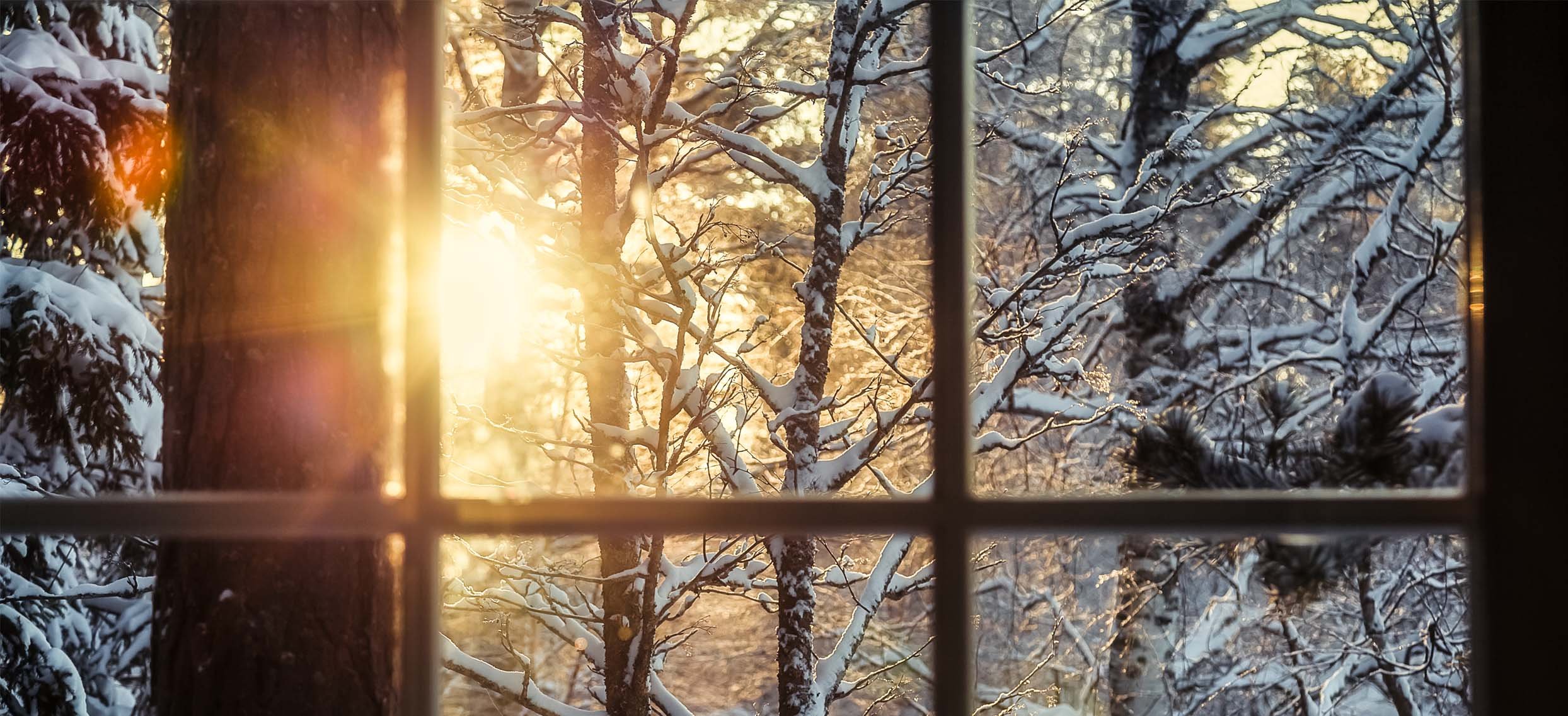 Яркое зимнее солнце заглянуло. Снег за окном. Окно с зимним пейзажем. Окно зимой. Зимнее солнце в окне.