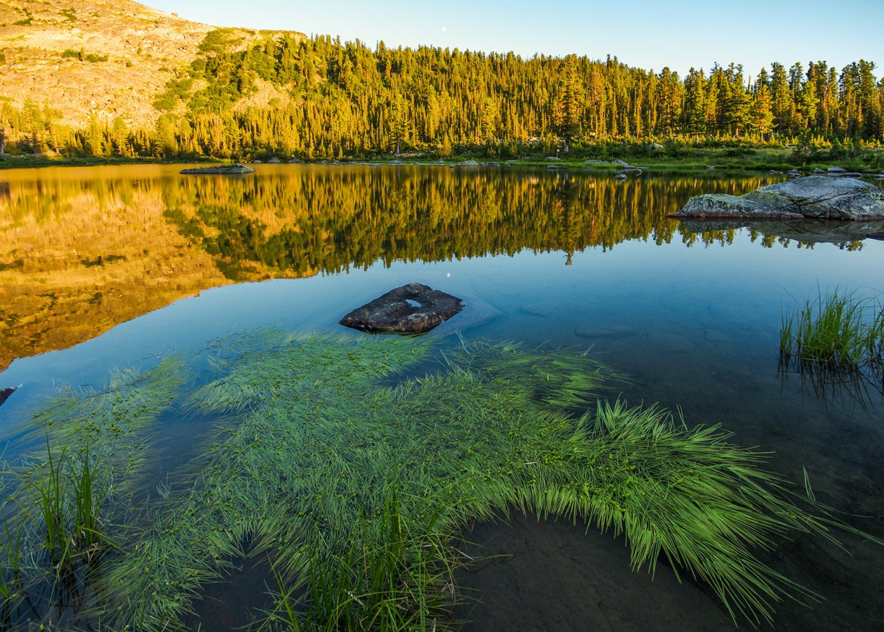 Озеро в форме рыбы. Лабаз (озеро). Озеро Убинское. Озеро лабаз Красноярского края. Сибирь озеро корчег.