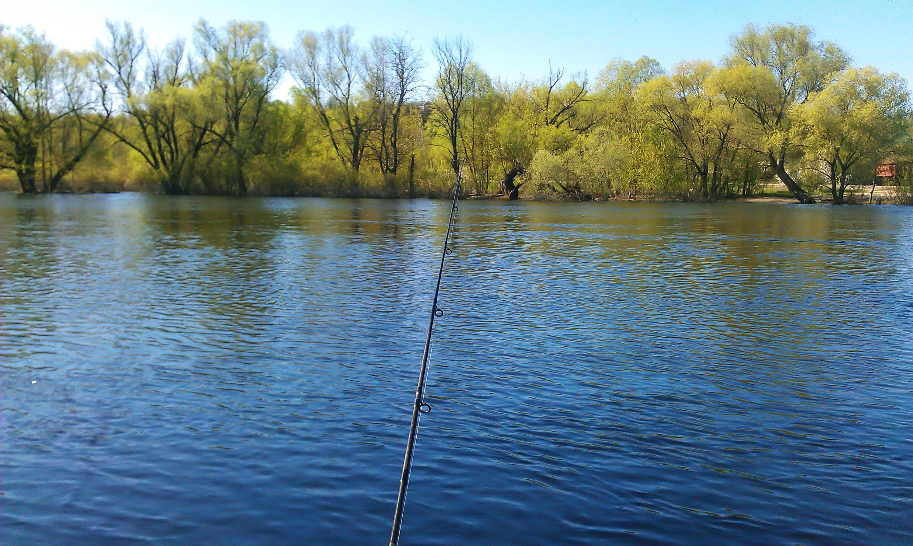 Чистое рыбалка. Весенняя рыбалка. Рыбалка фото. Рыбалка ранней весной.