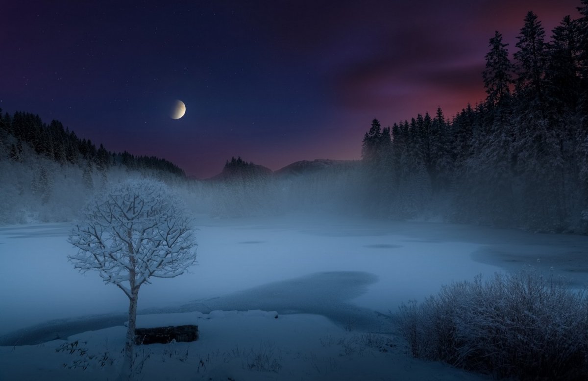 Зима ночь лес Луна