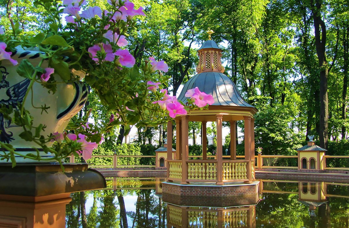 Ботанический сад санкт петербург парк дендрарий фото