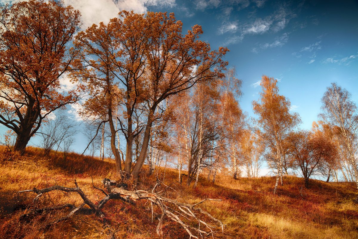 Поздняя осень фото