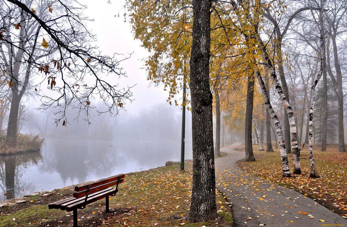 Поздняя осень в городе