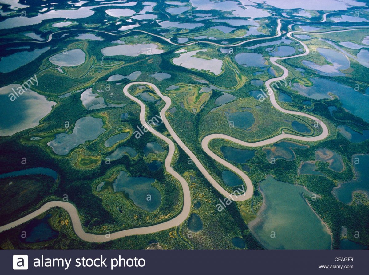 Какие крупные реки в канаде. Река Маккензи. Река Маккензи Канада. Устье реки Маккензи. Дельта реки Амазонка.