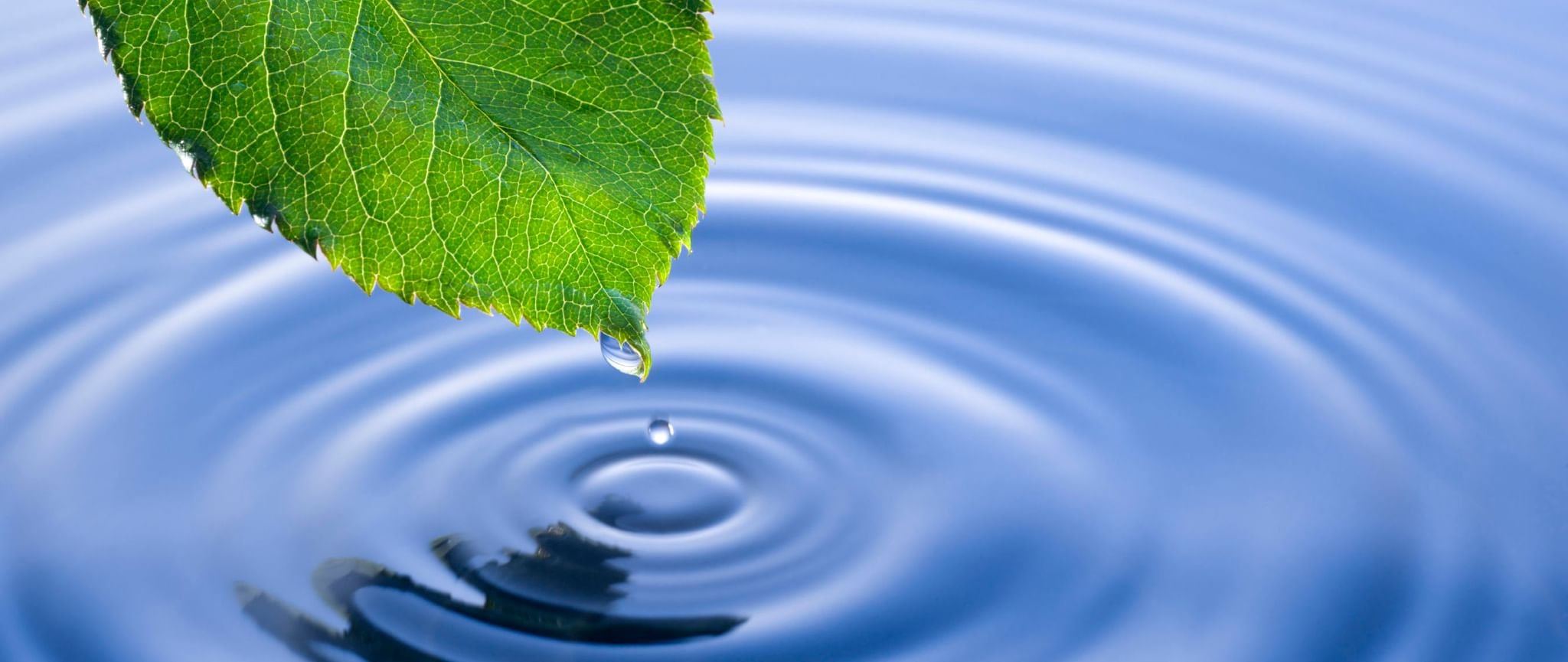 Вода богатство природы. Экология воды. Вода в окружающей среде. Вода картинки.