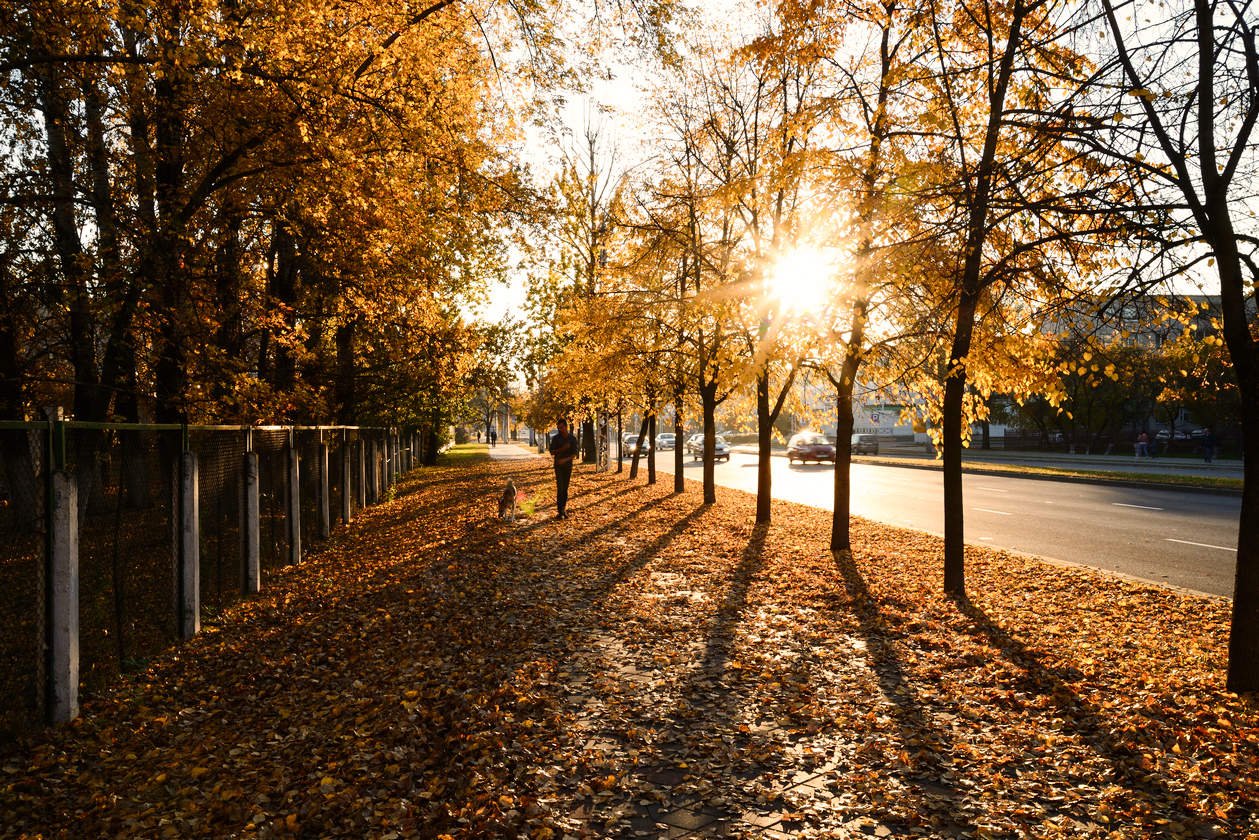 Томск осень набережная