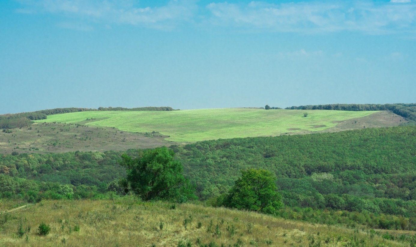 Ст холмы. Зелёные холмы Холмская. Турбаза зеленые холмы Холмская. Зеленые холмы Абинский район. Зеленые холмы Краснодар.