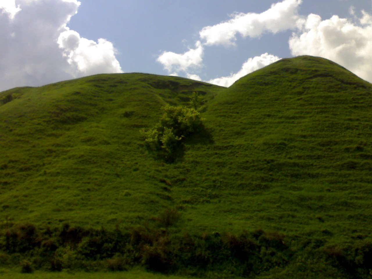 Середина холма. Зелёные холмы Холмская. Эурус холм. Трихолский холм. Холм брамадон..