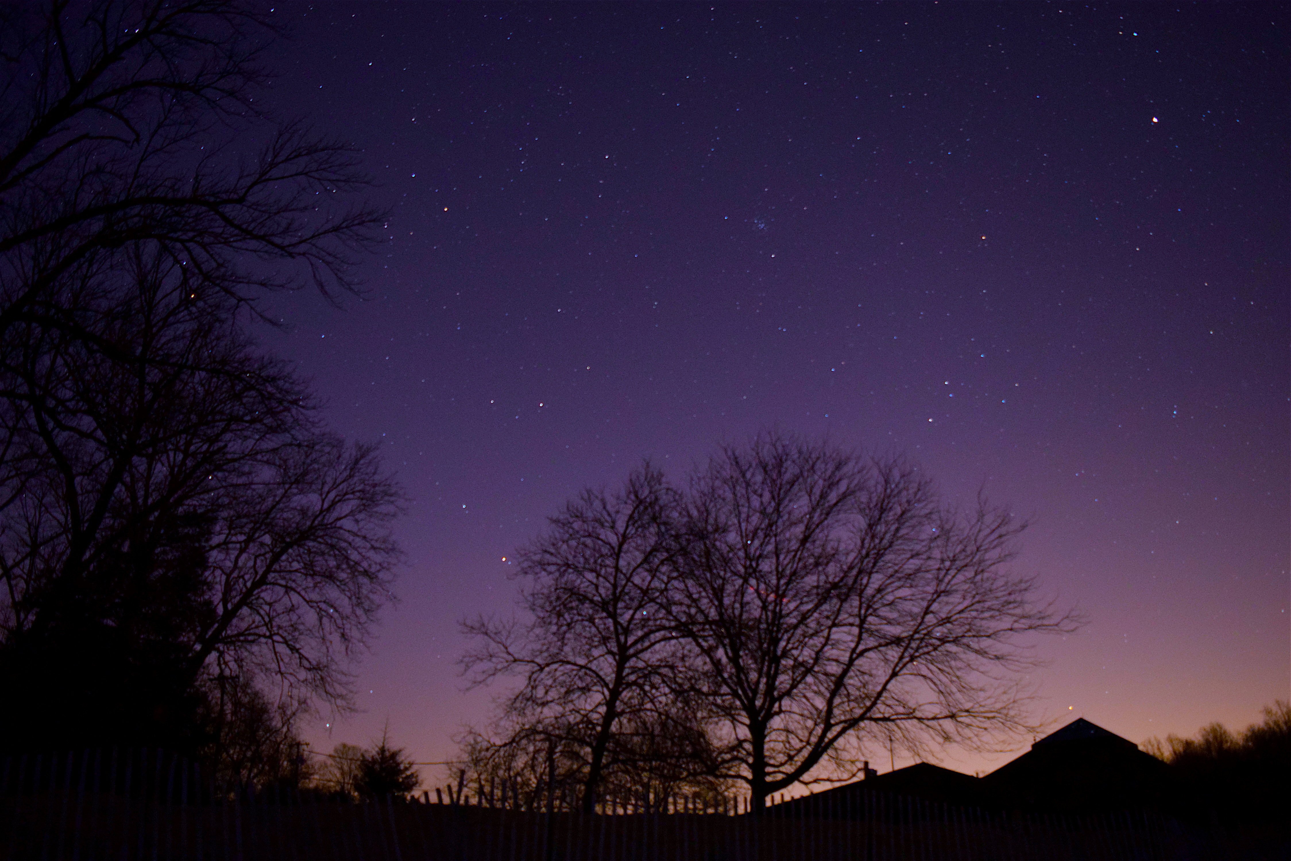 Вечер 4 3 24. Звездное небо. Ночное небо с деревьями. Звездное небо деревья. Звездное небо над деревьями.