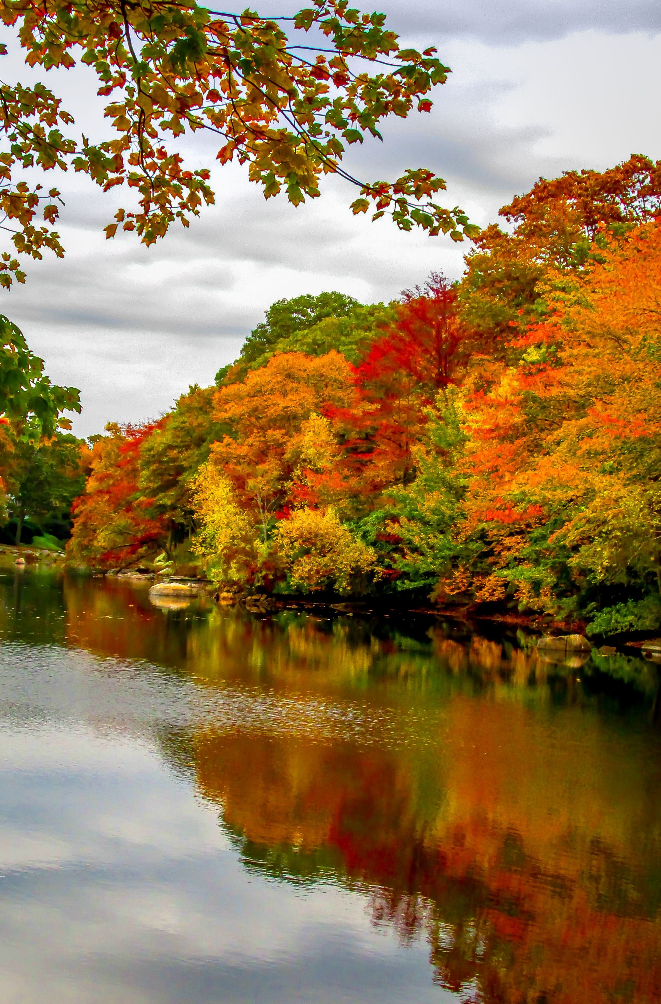Виды осени. Осень. Осенняя природа. Красивая осень. Осенний пейзаж.
