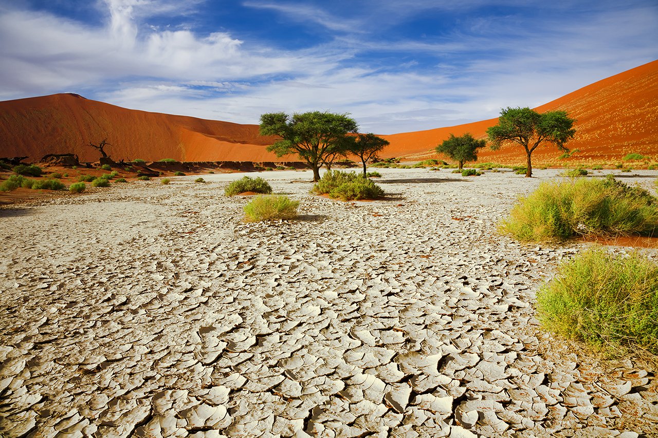 Пустыни полупустыни Намиб