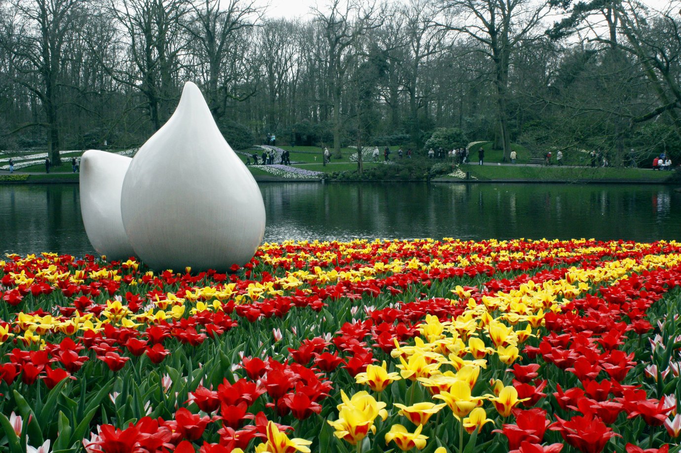 Нидерланды достопримечательности парк цветов кёкенхоф Нидерланды